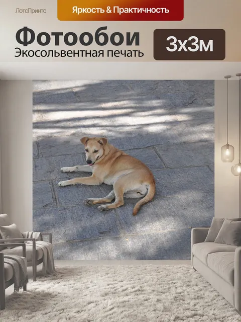 Фотообои Собака