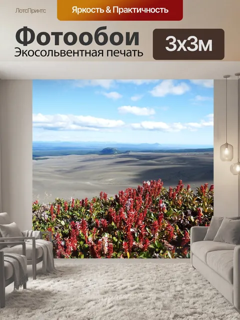 Фотообои Вулкан