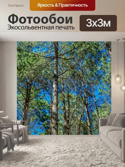 Фотообои Сосновый лес, Пан Унг, Мэй Хонг Сон