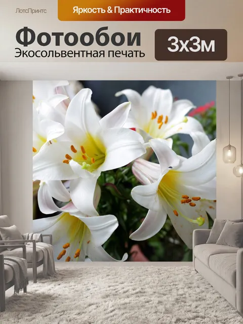 Фотообои Цветы