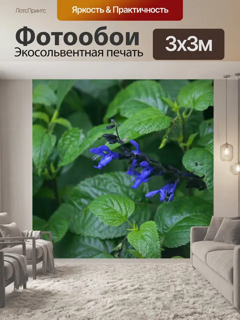 Фотообои маленькие голубые цветы и зеленые листья