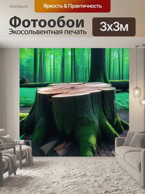 Фотообои пень как место для отдыха в лесу