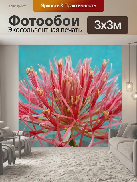Фотообои Летний цветок