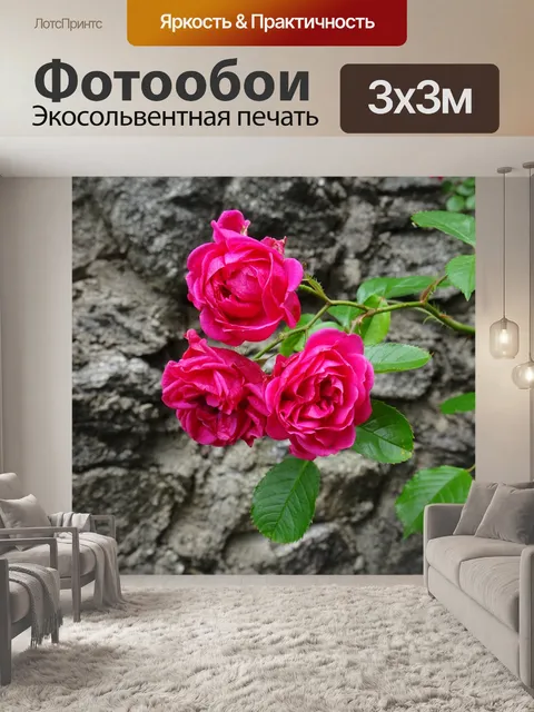 Фотообои Цветы