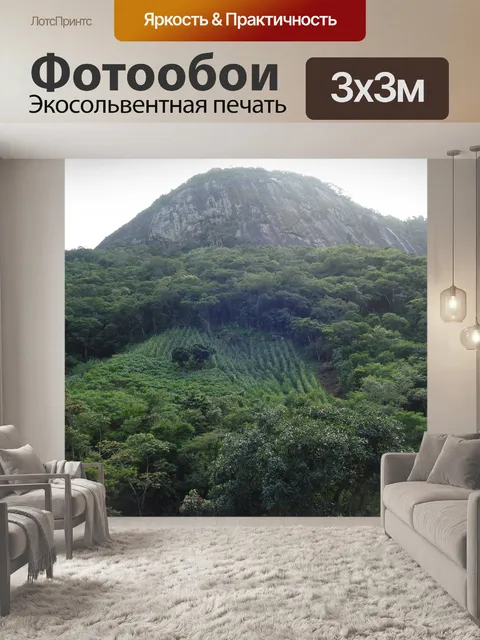 Фотообои Природа