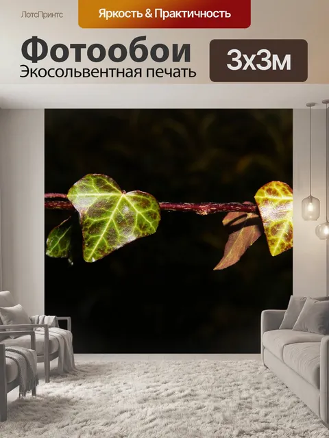 Фотообои Ветвь