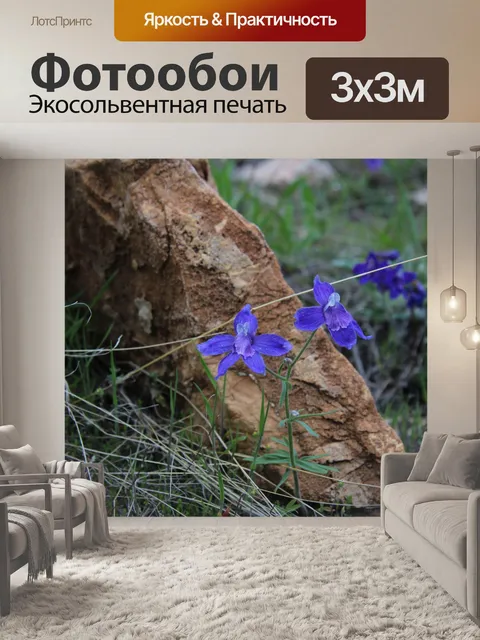 Фотообои Дикие горные цветы