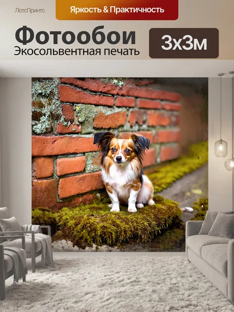 Фотообои папильон, собака с нежной и грациозной осанкой, позирует на фоне старинной кирпичной стены, усыпанной мхом и…