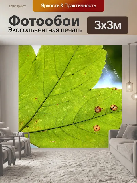 Фотообои Лист