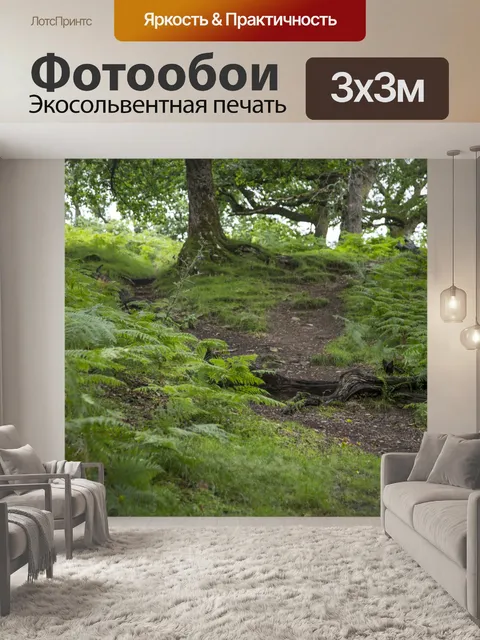 Фотообои лес
