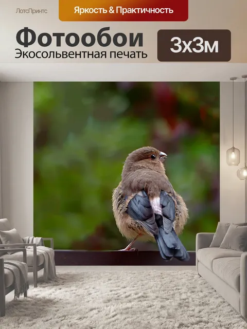 Фотообои Птица