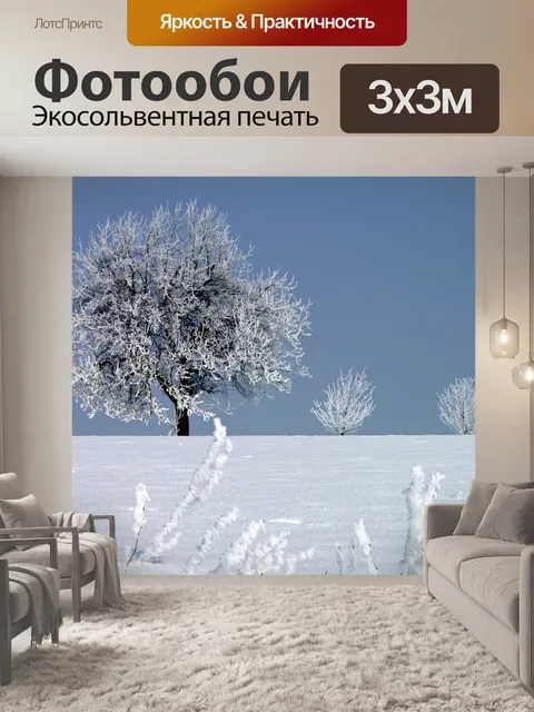 Фотообои Иней