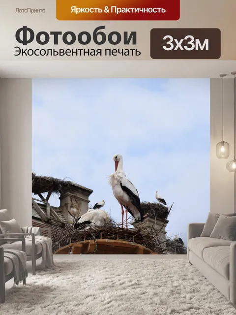 Фотообои Аист