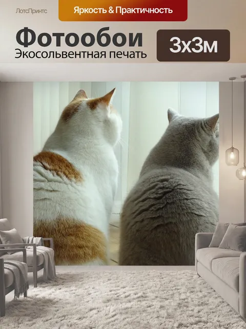 Фотообои Кошки