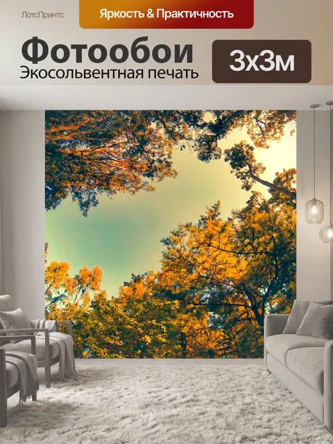 Фотообои Осенние деревья