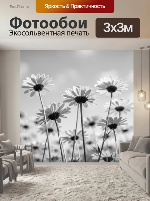 Фотообои Ромашки в монохромном поле