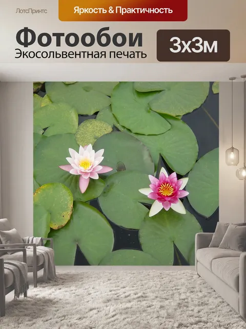 Фотообои Цветы