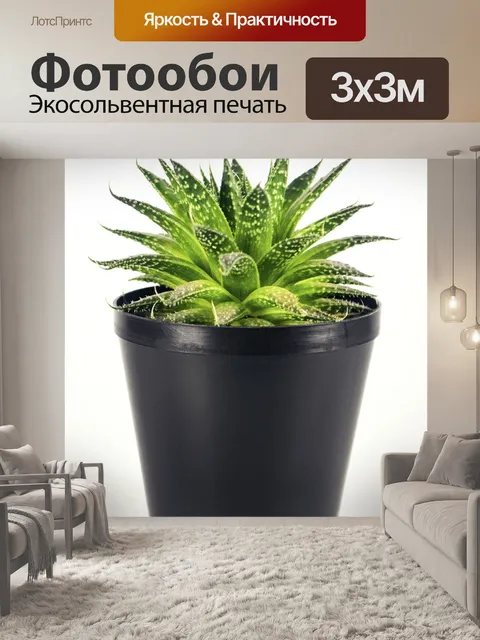 Фотообои Дерево