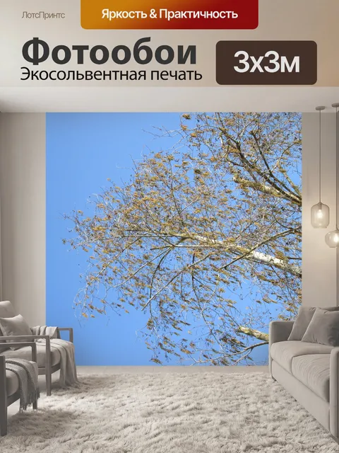 Фотообои Дерево Перспектива 1