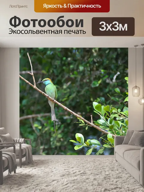 Фотообои Птица