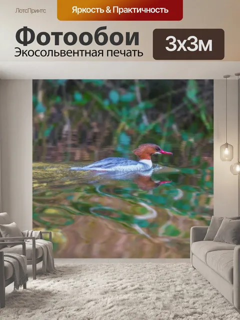 Фотообои крохаль