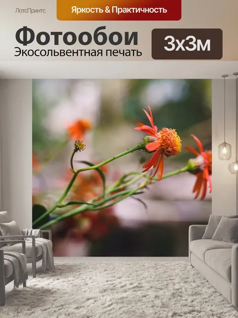 Фотообои Цветок