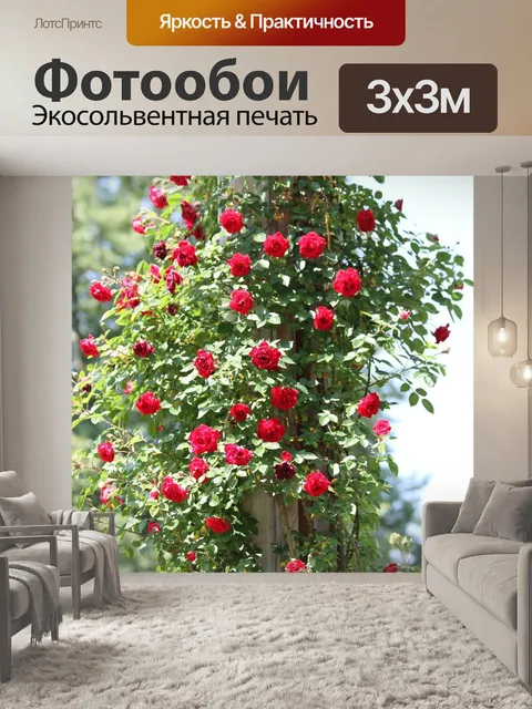 Фотообои Розовый куст