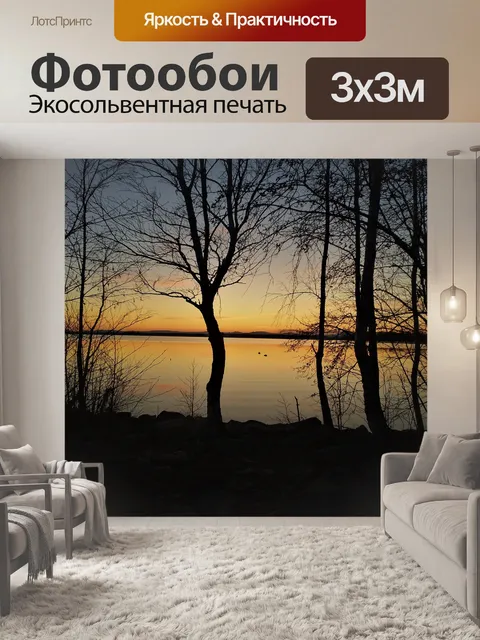 Фотообои Час земли