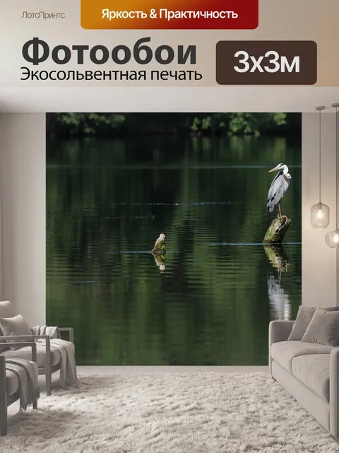 Фотообои Цапля