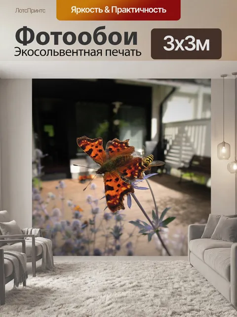 Фотообои Бабочка
