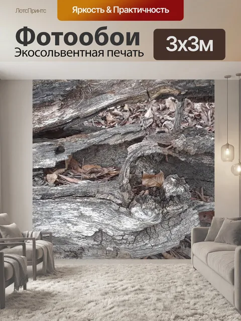 Фотообои Сгнившее дерево на лесной почве