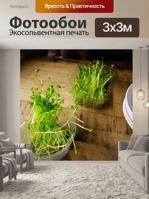 Фотообои Еда