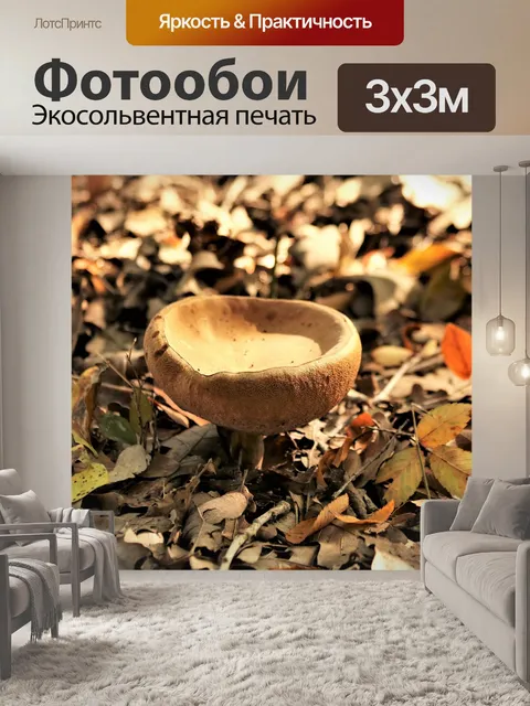 Фотообои Болевый гриб в осенних листьях