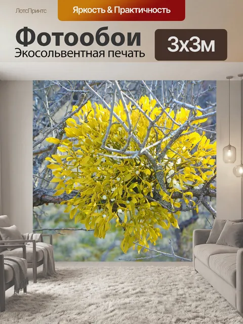 Фотообои Дерево