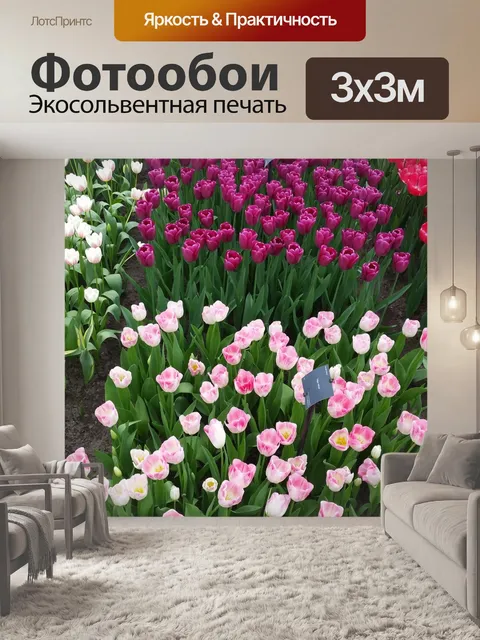 Фотообои Цветок