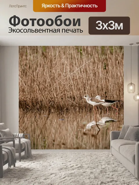 Фотообои Птицы