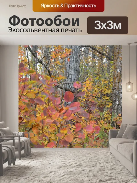 Фотообои Красные листья в лесу