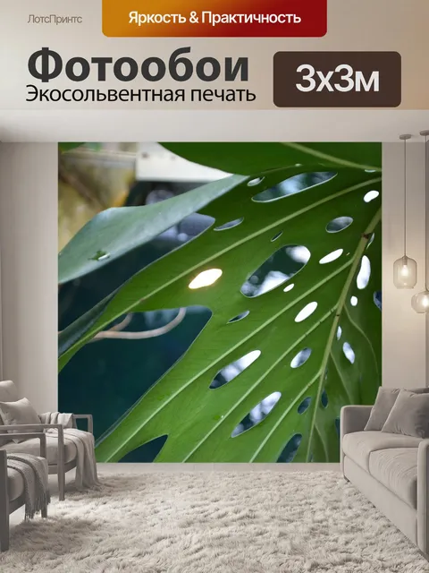 Фотообои Лист