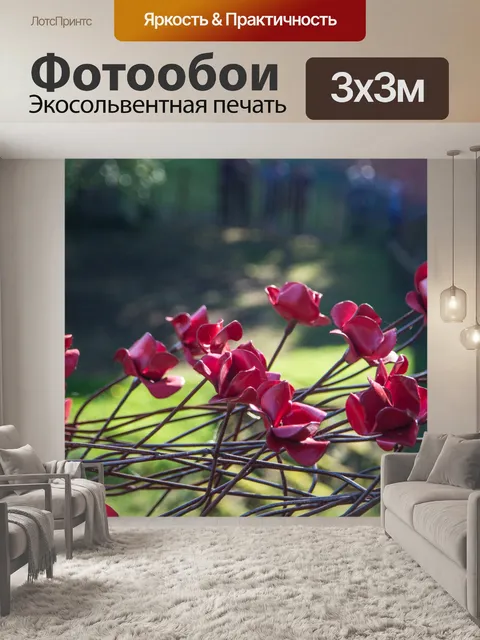 Фотообои Почтить память жертв, красные маки