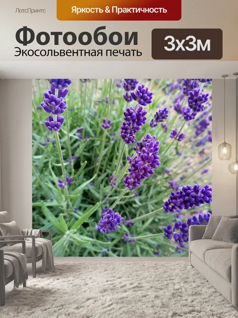 Фотообои Лаванда