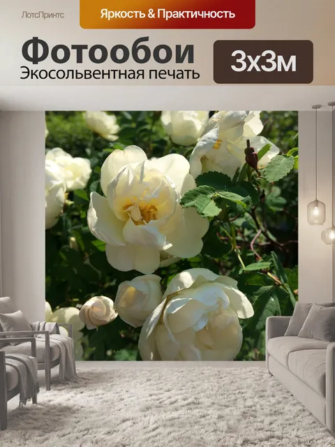 Фотообои Цветы