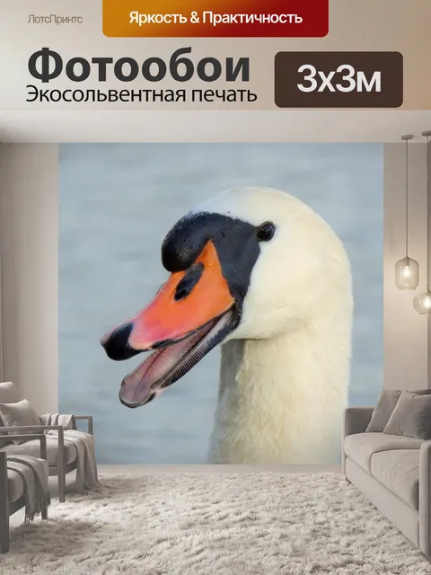 Фотообои Перья