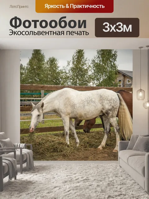 Фотообои Лошади