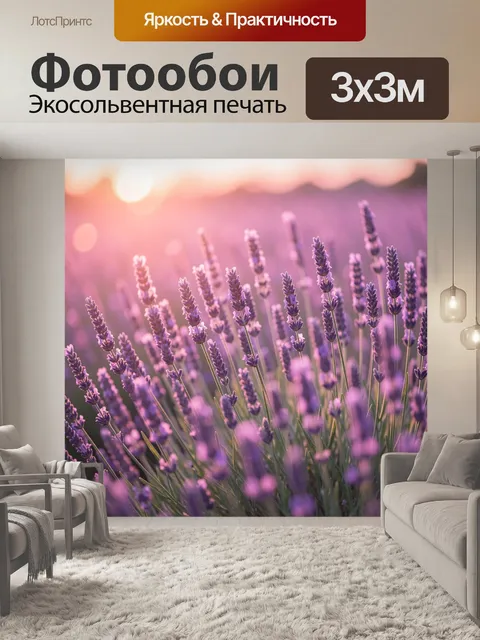 Фотообои Цветущая лаванда на закате