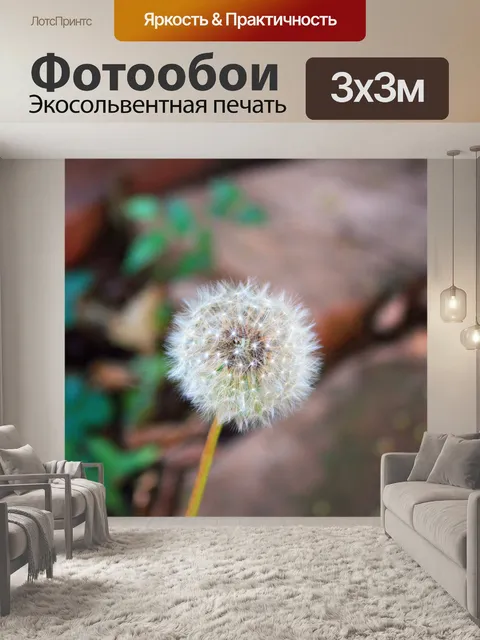 Фотообои пушистые одуванчики