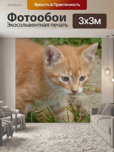 Фотообои Малые