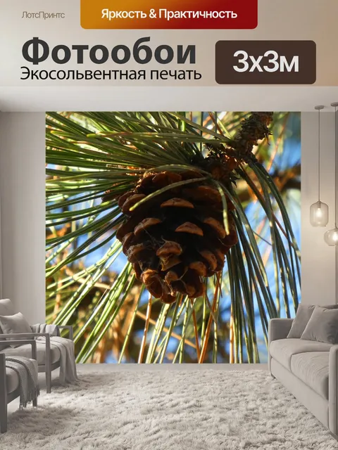 Фотообои Шишка