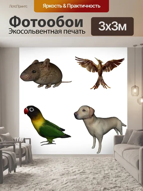 Фотообои Группа из 4 животных