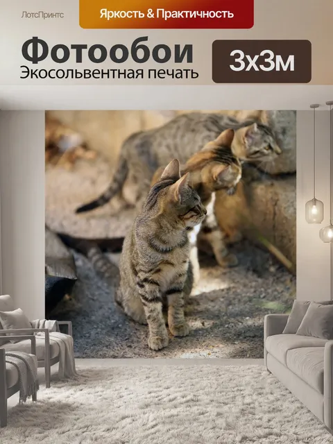 Фотообои Животное