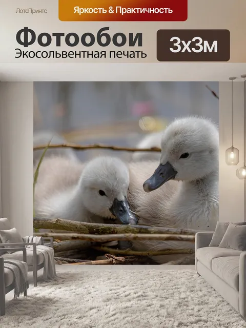 Фотообои Лебеди